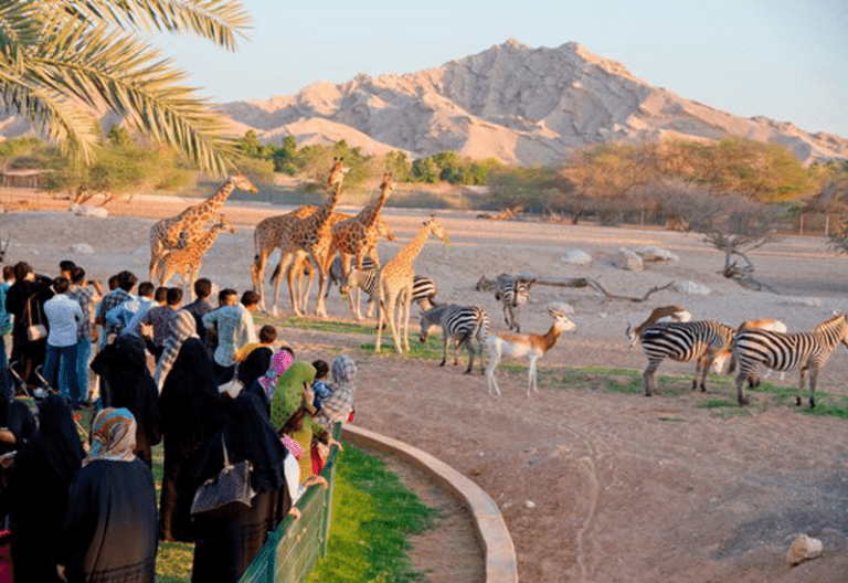 al ain zoo expansion