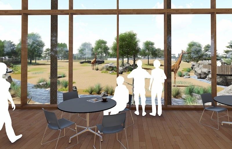 Chester Zoo's Grasslands project gets green light blooloop