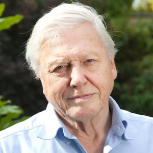 david attenborough blooloop 50 theme park influencer 2019