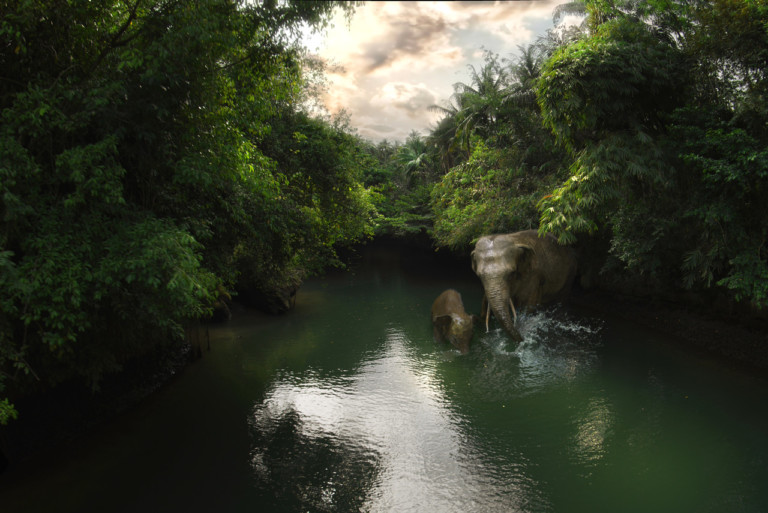 Green Canyon Elephants Flying Over Indonesia