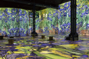 Barco Culturespaces Van Gogh projection on the walls