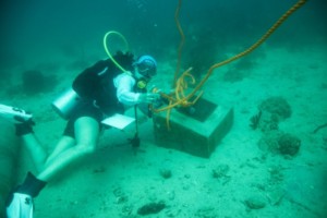 living museum in the sea