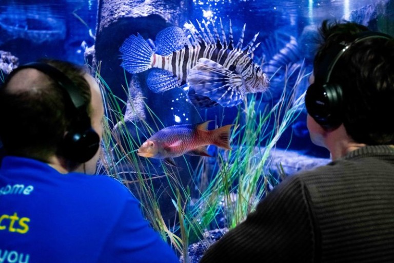 sea life london aquarium fish recording