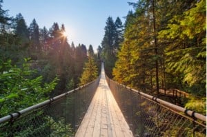 Capilano Suspension Bridge Park