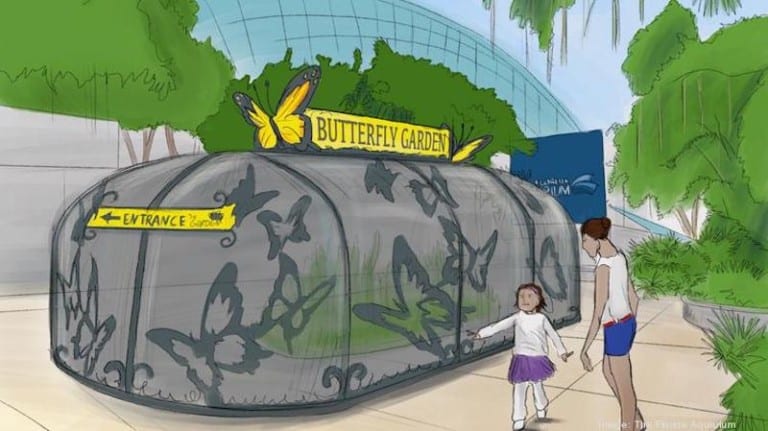 artist impression of florida aquarium projects - butterfly garden