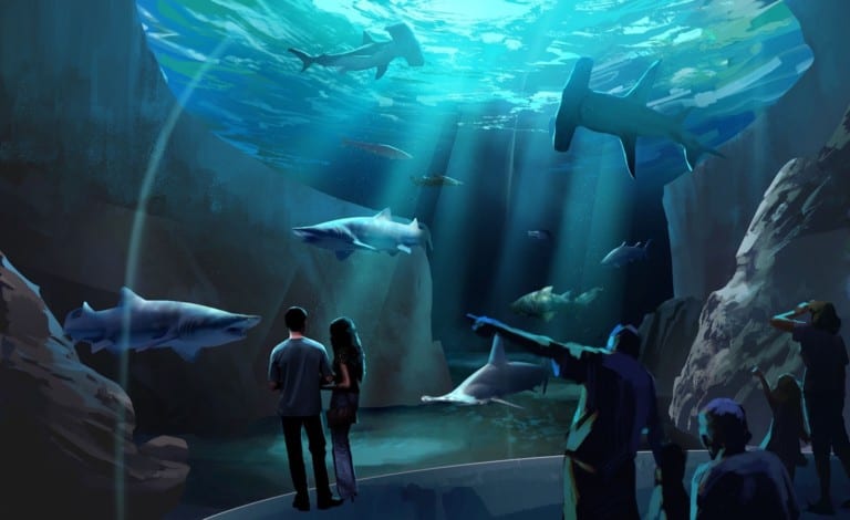 Georgia Aquarium Expansion Half-Dome Room