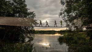 children crossing rope bridge over to Skelf Island at Castle Howard at sunset