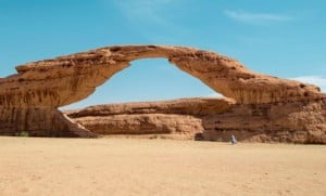 saudi arabia alula