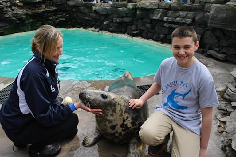 aquarium of niagara