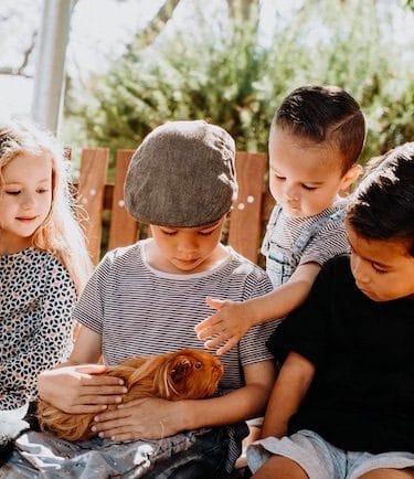 children getting hands on at Zoos South Australia