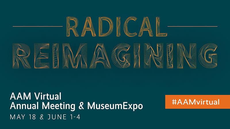 #AAMvirtual poster