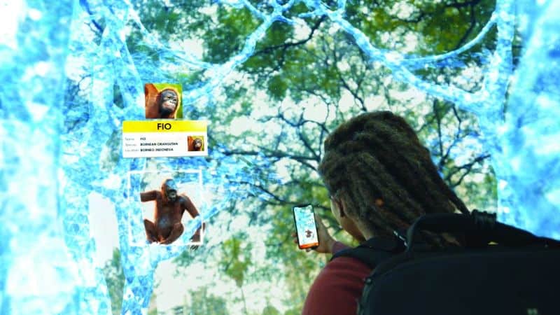 Wildeverse AR app from Chester Zoo and Internet of Elephants