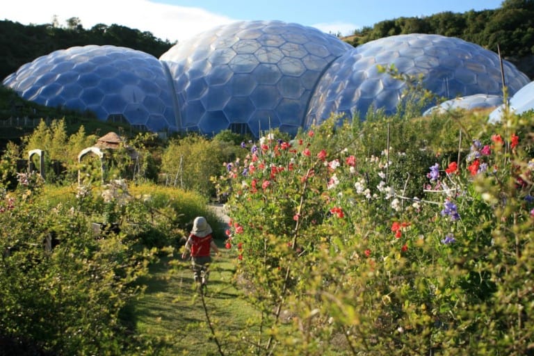 ALVA member The Eden project domes and gardens in the summer