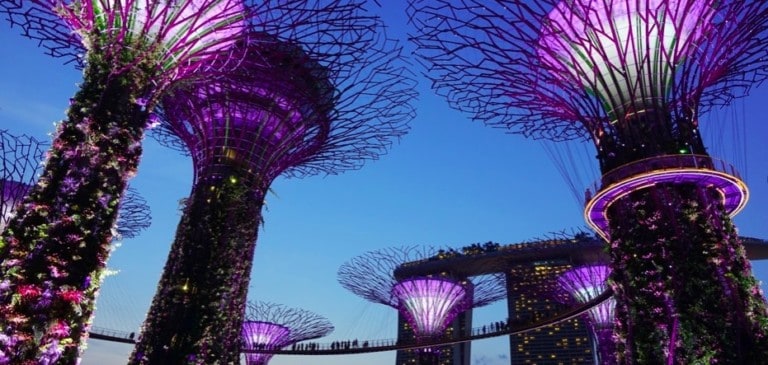 Gardens by the Bay Singapore COVID-19 attractions news