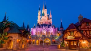 disney magic kingdom castle