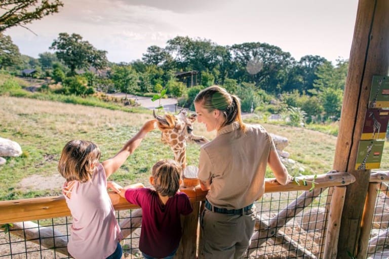 Omaha Henry Doorly Zoo Giraffe Feeding