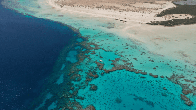 Drone footage of the Red Sea Project site