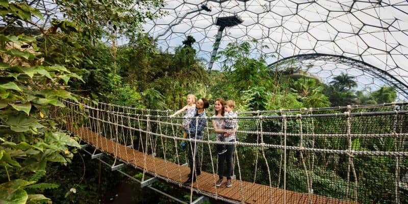 Interior of Eden Project biomes that use Green 4 ticket technology