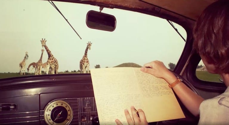 woman who loves giraffes AZA