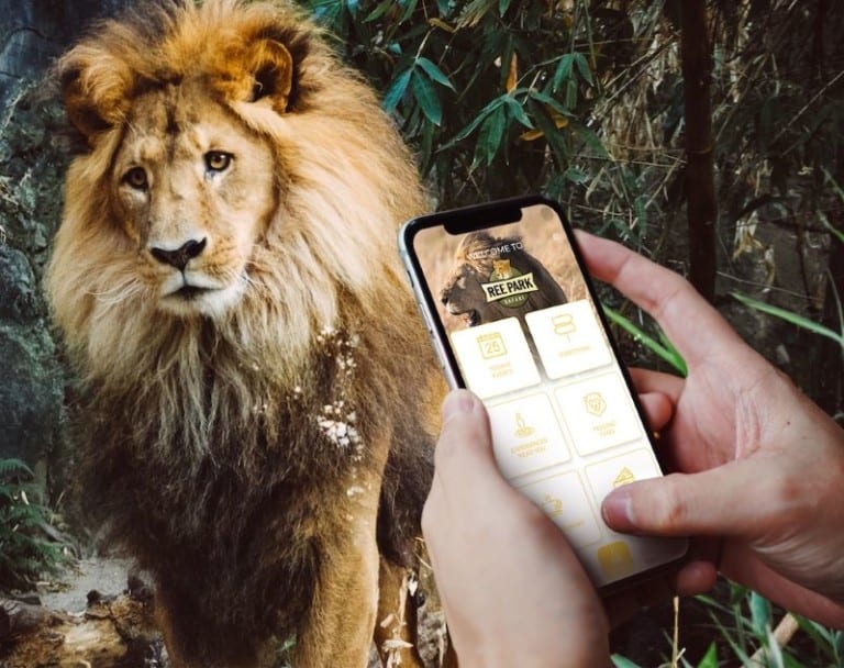 aratag app in front of a lion