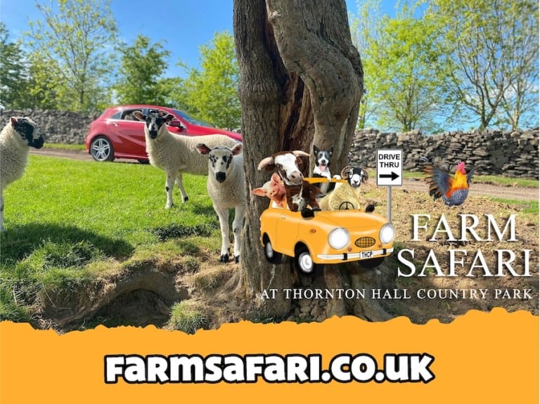 Farm Safari Thornton Hall Country Park Vennersys