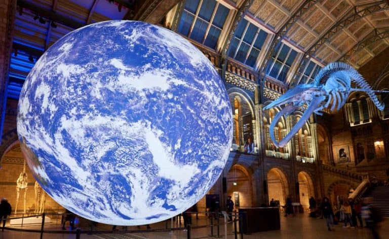 natural history museum london earth and whale most visited