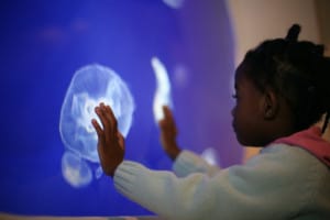 Horniman Aquarium, Girl with Moon Jelly Fish