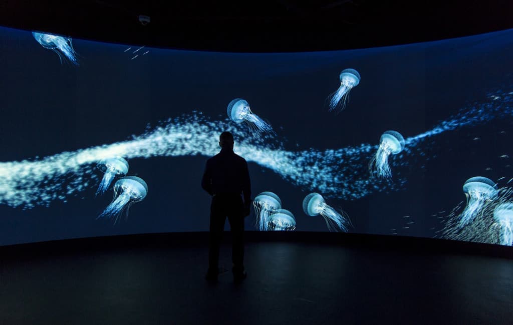 Interactive Media Wall Aquarium Deep Frost Science