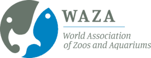 waza logo