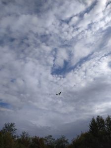 Flight with the geese at Puy du Fou