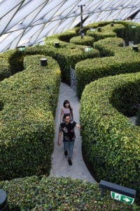 Hedge Maze Jewel Changi Airport