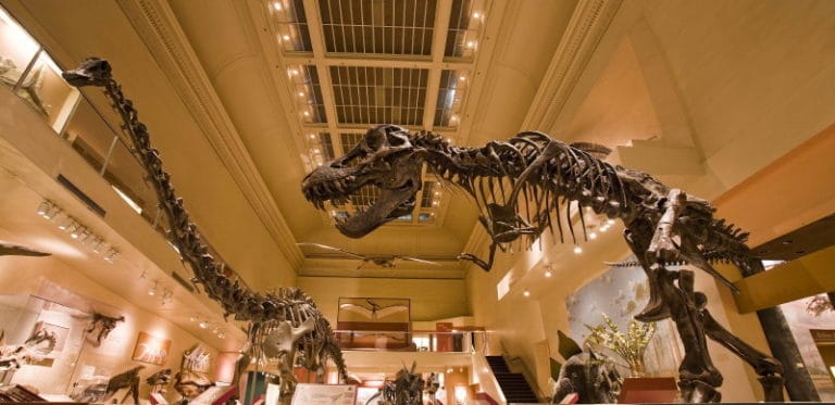 dinosaur hall smithsonian natural history museum