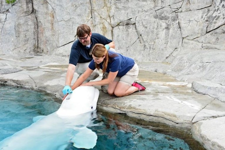 mystic aquarium