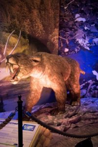 Ice Age by World Touring Exhibitions