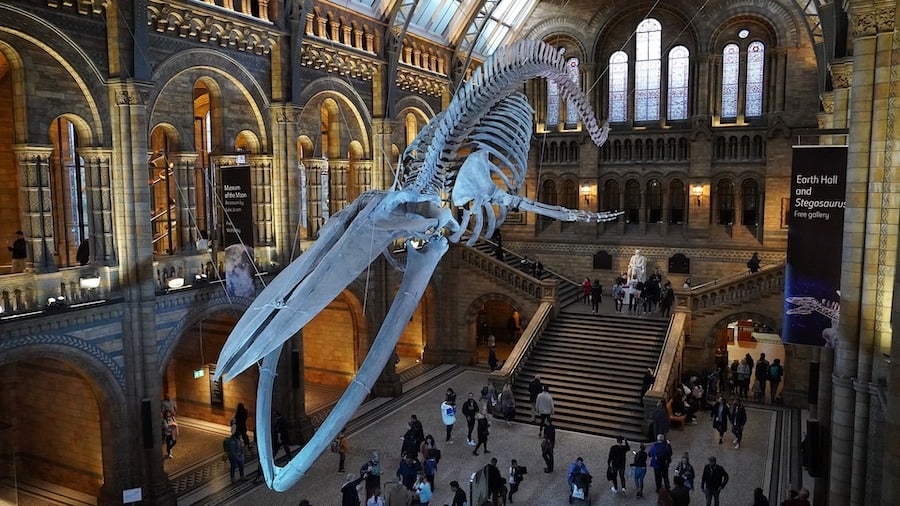 natural-history-museum-London