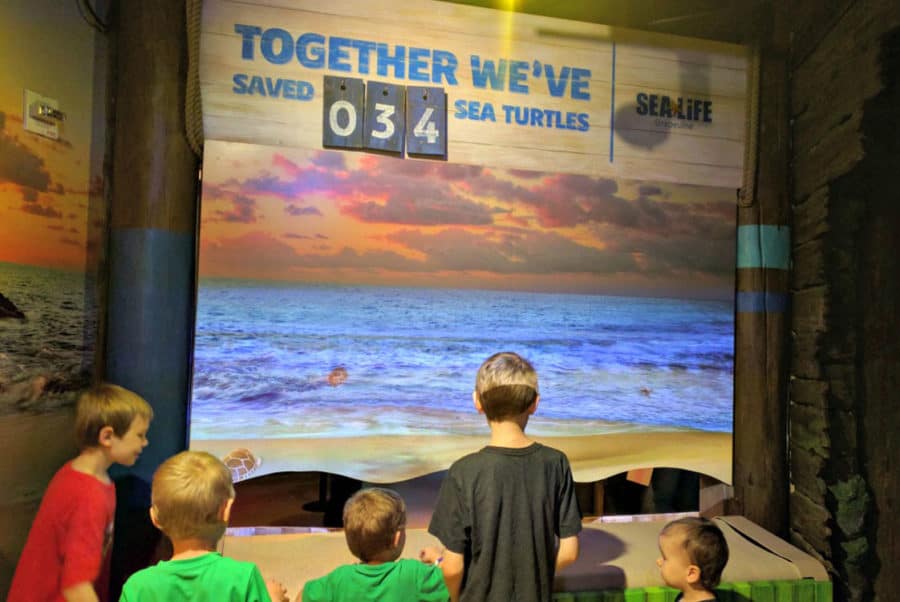 Children at the new sealife exhibit