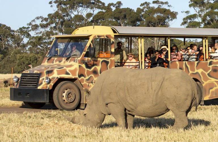 werribee open range zoo