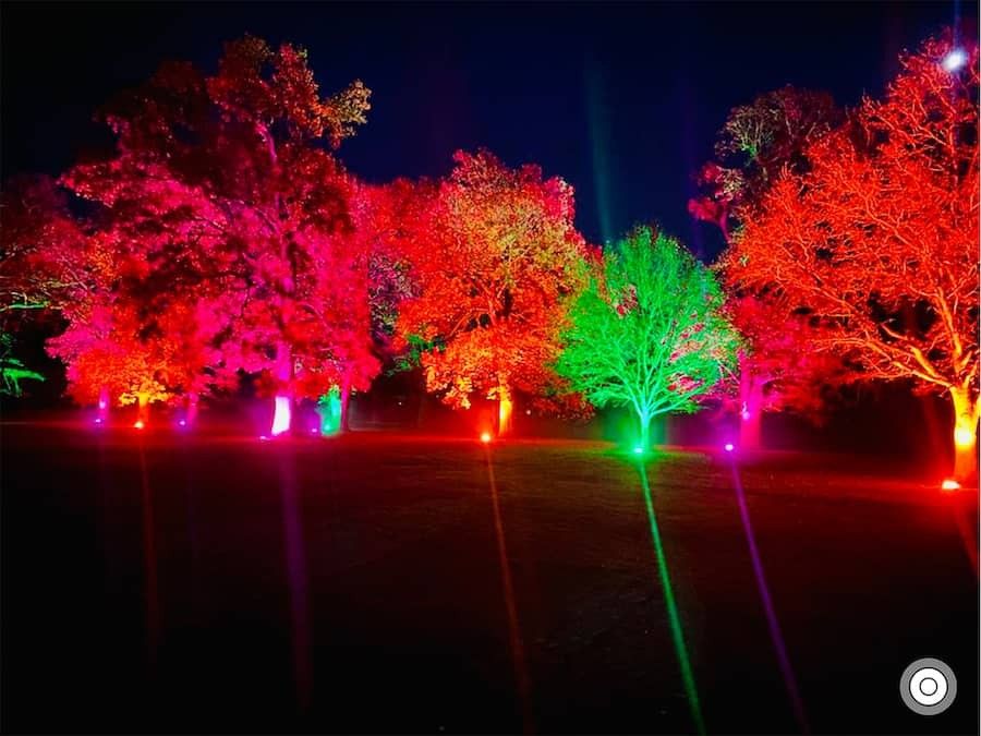 THEME3 Christmas Light Trail at Warwick Castle blooloop