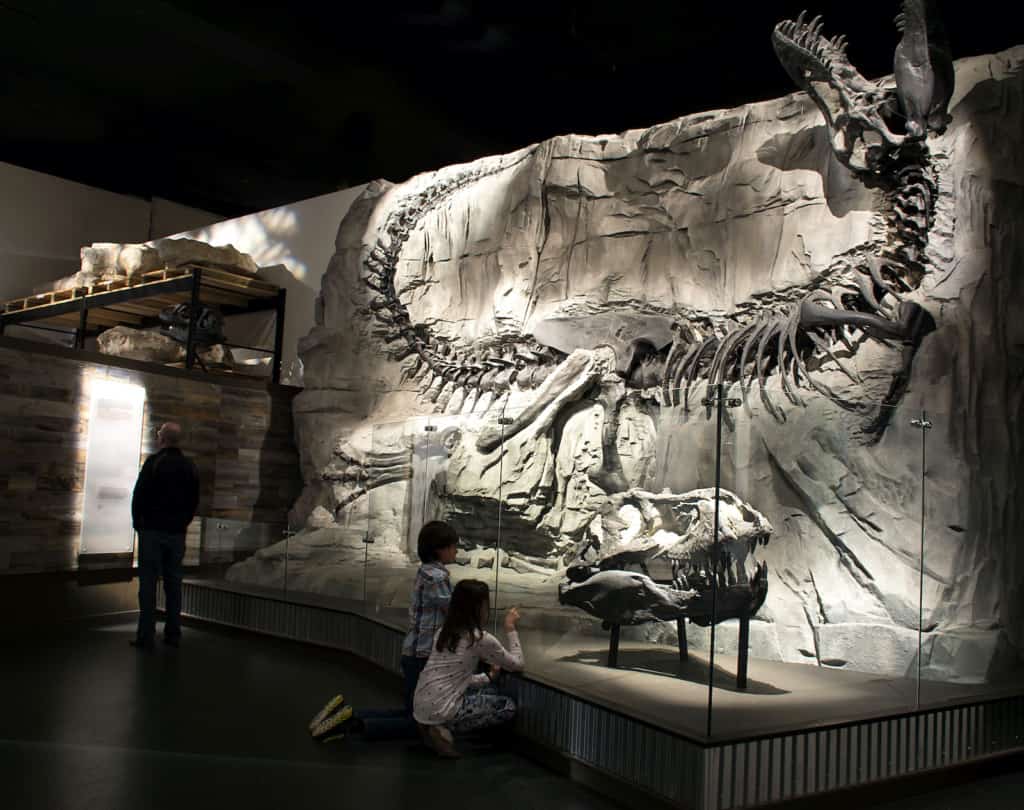 Royal Tyrrell Museum Foundation exhibit