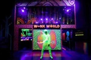 Wink World at AREA15