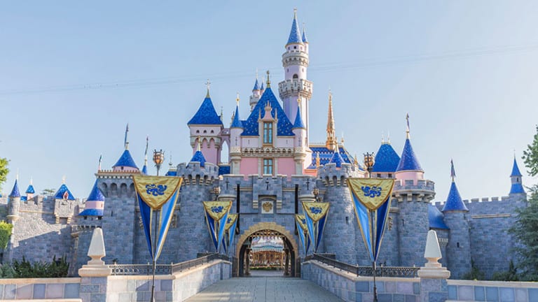 Disneyland Castle