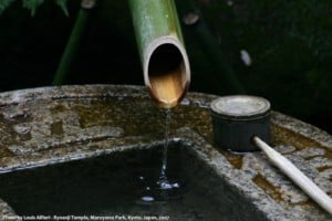 Be like water Kyoto Ryoanji-Murayama Park-Chion-in-Shoren-Raven Sun Creative