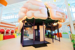 Mississippi Children's Museum Meridian giant brain