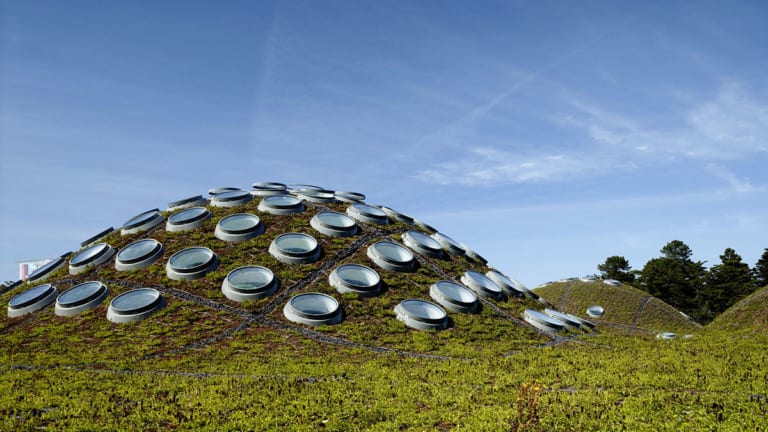 California Academy of Sciences