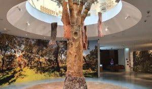 Museum Design