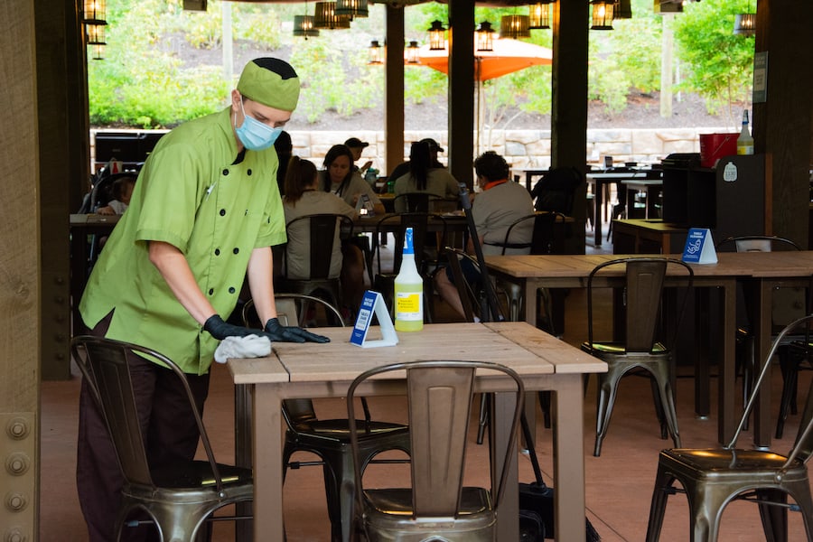 Dollywood cleaning