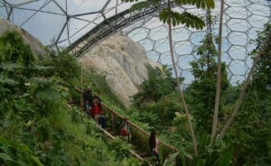 Eden Project
