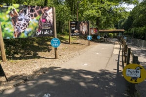 Marwell Zoo - Re-opening