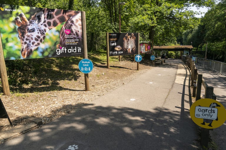 Marwell Zoo - Re-opening