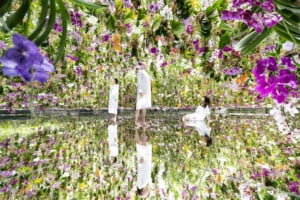 teamlab planets tokyo gardens